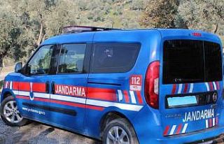 Aydın’da bir kişi ağaca asılı halde bulundu