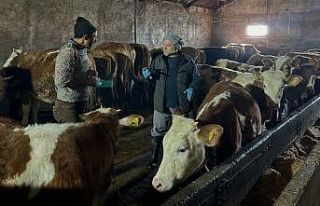 Aydıntepe’nin 23 köyünde ve 4 mahallesinde şap...