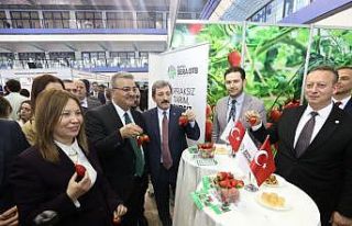 Bafra standına yoğun ilgi