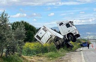 Bağa giren tır şaha kalktı