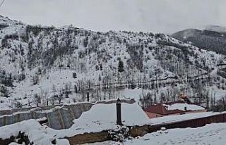 Bahar yerini kışa bıraktı: Erzincan Refahiye’de...