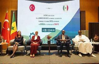 Bakan Göktaş: "Senegal’in kalkınma sürecine...