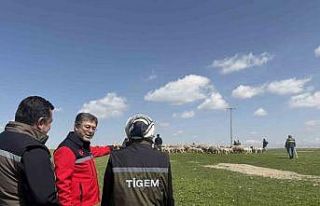 Bakan Yumaklı: (Kırsalda Bereket Küçükbaşa Destek...