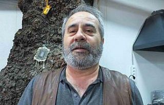 Balıkesir’de 1620 tarihi meşeye özel koruma