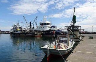 Balıkta bereketli sezon: "Halk bu yıl balığa...