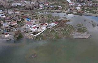 Baraj suları taştı, evler gölün ortasında kaldı