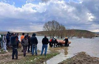 Barajda mahsur kalan ineği AFAD kurtardı