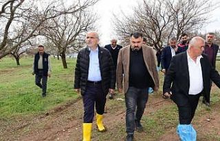 Başkan Er, dolu afetinden zarar gören ilçeleri...