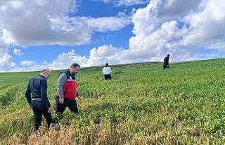 Batman’da çiftçilere ’yanlış ilaçlama’...