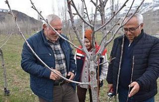 Bayburt’ta üreticilere aşılama ve budama eğitimi...