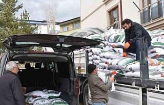 Bayburt’ta üreticilere yüzde 75 hibeli nohut tohumu...