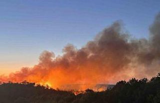 Beykoz’da 3 hektarlık alan küle döndü: Yangına...