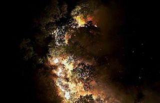 Beykoz’daki orman yangını 9 saatte kontrol alındı