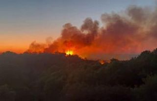 Beykoz’daki yangını söndürme çalışmaları...