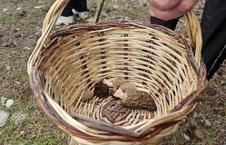 Beyşehir’de doğa tutkunları hem yürüyüş hem...