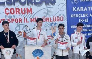 Bilecik’e Karate Türkiye Şampiyonası’nda dereceler...