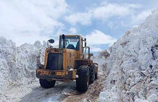 Bingöl’de metrelerce karla mücadele