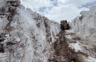 Bingöl’de nisan ayında metrelerce karla mücadele