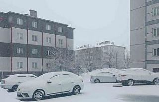 Bitlis nisan ayında yeniden beyaza büründü