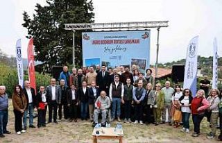 Bodrum’da yazlık fideler üreticilere dağıtıldı