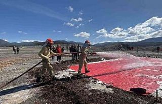 Bolu en hızlı ormancılarını seçiyor