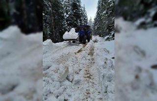 Bolu’da karla kaplanan yayla yollarını köylüler...