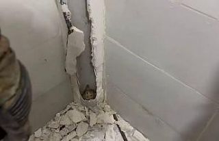 Boruda mahsur kalan kedi duvar kırılarak kurtarıldı