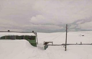 Bülbülan Yaylası’nda evler kara gömüldü