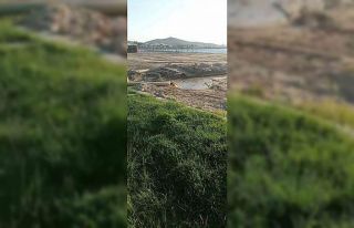 Burhaniye’de denize akan pis sular tepkiye neden...