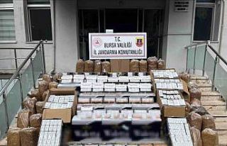 Bursa’da kaçak tütün operasyonu: 205 bin adet...