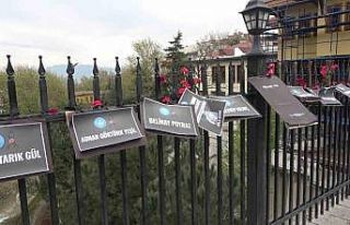 Bursa’da Setbaşı Köprüsü karanfillerle donatıldı