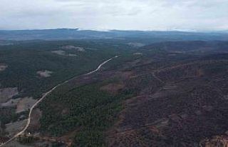 Bursa’da tarihin en büyük orman yangınında yaralar...