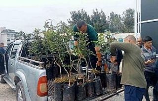 Büyükşehir’den Alanya’nın coğrafi işaretli...