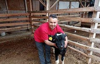 Çal’da Mert için yürekler seferber oldu