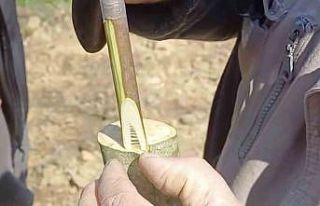 Çanakkale’de ‘Aşı Akademisi’