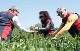 Çanakkale’de ekili ve dikili alanlarda kontroller...