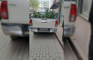 Çanakkale’de evinde kenevir yetiştiren şahıs...