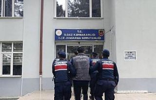 Çankırı’da büyükbaş hayvan çalan şahıslar...