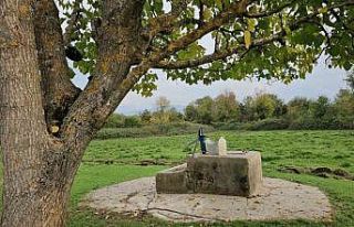 Cesedi su kuyusunda bulunan 17 yaşındaki Hasret’in...