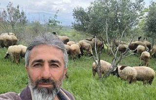 Çeşme sakızı ile Fransız koçunu birleştirdi,...