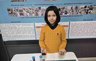 Ceviz kabuğundan yalıtım malzemesi geliştirdi,...