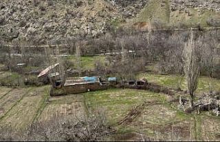Cevizli köyü sakinlerinden yol talebi