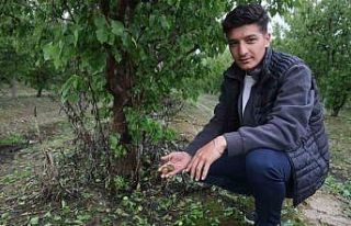 Çevreyi beyaza bürüyen fındık büyüklüğündeki...