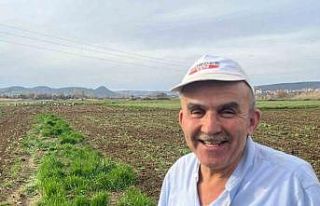 Çiftçinin doğal mesai arkadaşları iş başında