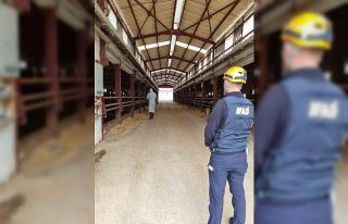 Çiftlikteki gaz sızıntısı ihbarı ekipleri harekete...