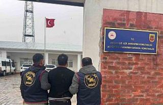 Cinayet suçundan 10 yıldır aranan şahıs yakalandı