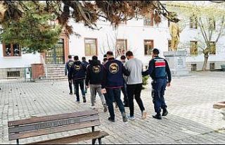 Çobanları hamama götürüp oyaladılar, 36 büyükbaş...