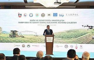 Cumhurbaşkanı Yardımcısı Yılmaz: "Coğrafyamızın...