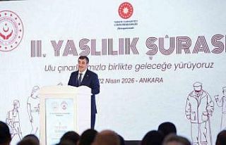 Cumhurbaşkanı Yardımcısı Yılmaz: "‘Uzun...