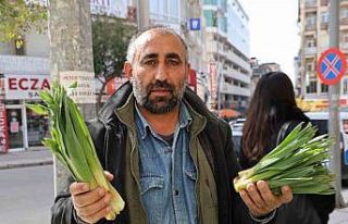 Dağlardan toplanan doğal antibiyotik, tezgahlarda...